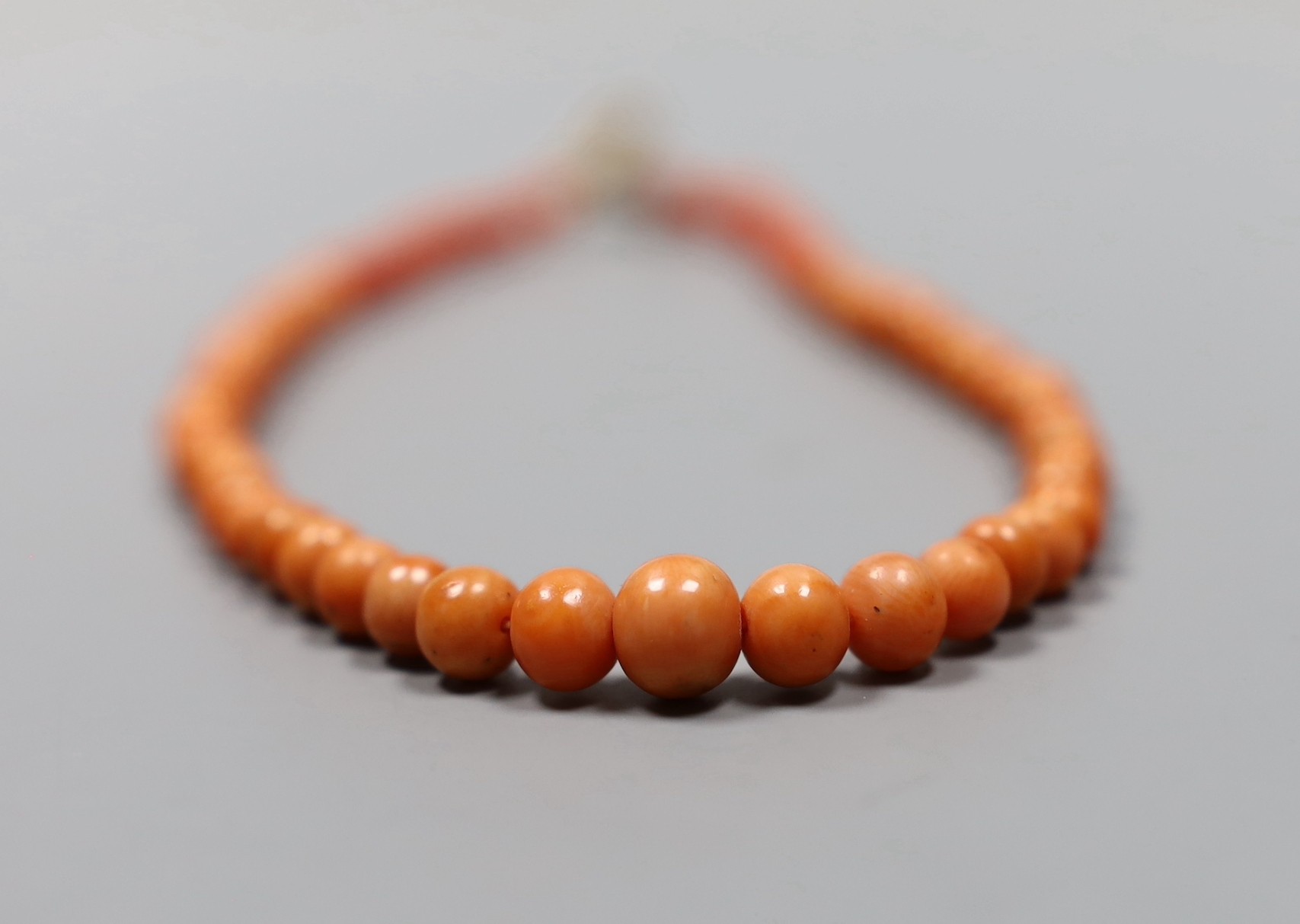 A single strand graduated coral bead child's necklace, with yellow metal clasp, 28cm.